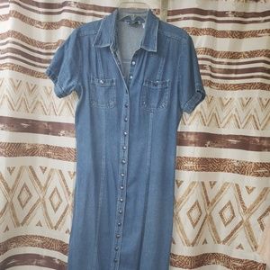 Long Denim Dress